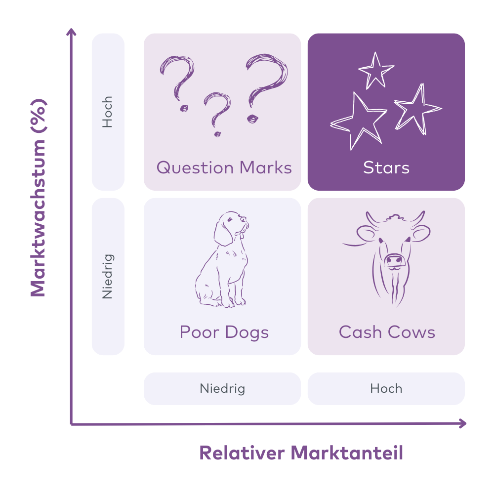 bcg matrix
